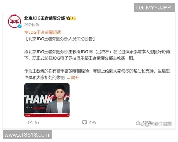 王者荣耀评论分析JDG战队防反策略的得失与启示
