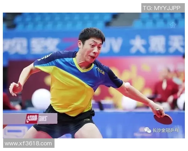 广州乒乓球队区域防守策略解析与实战应用探讨